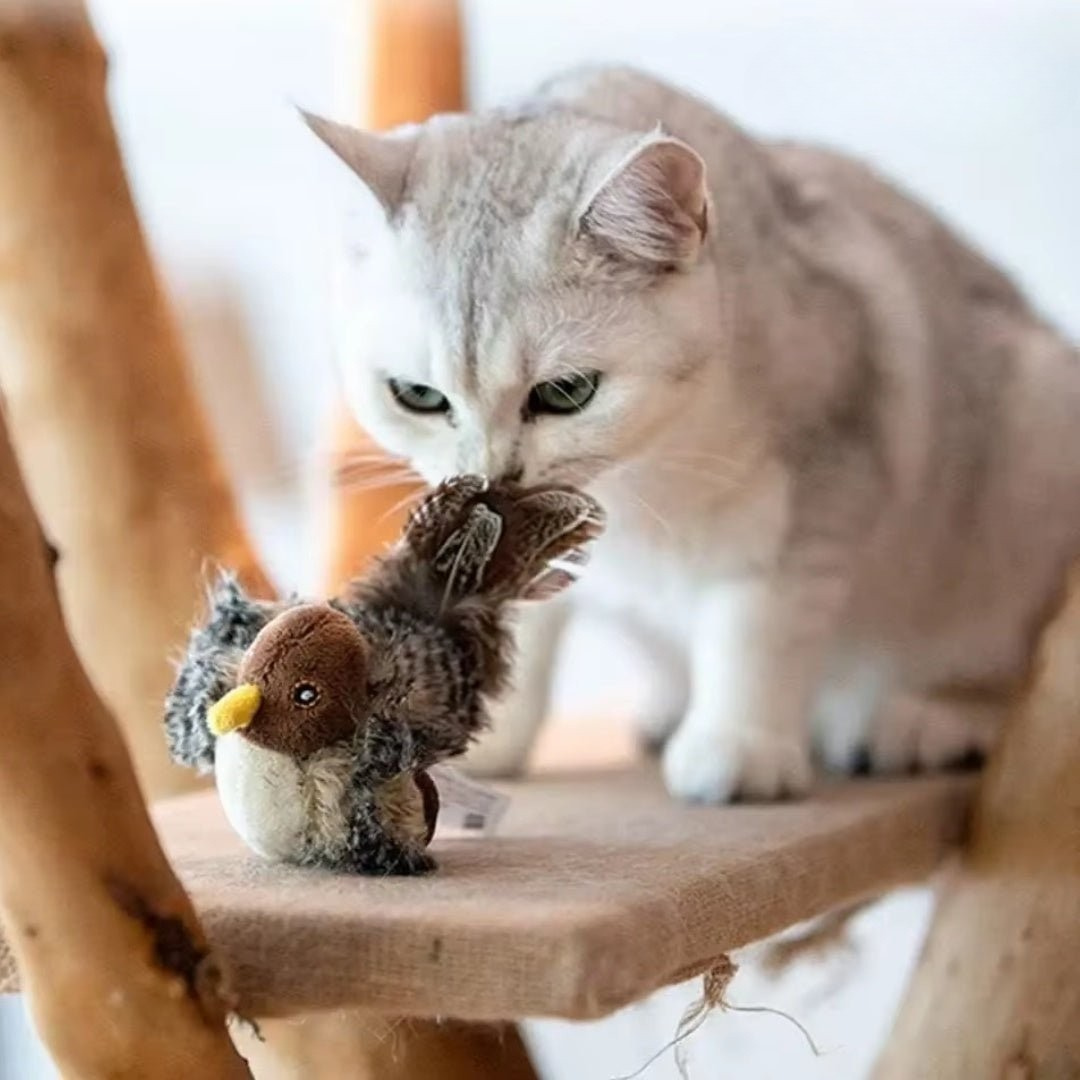 ChirpBird™ I Simulatie Vogel voor Katten