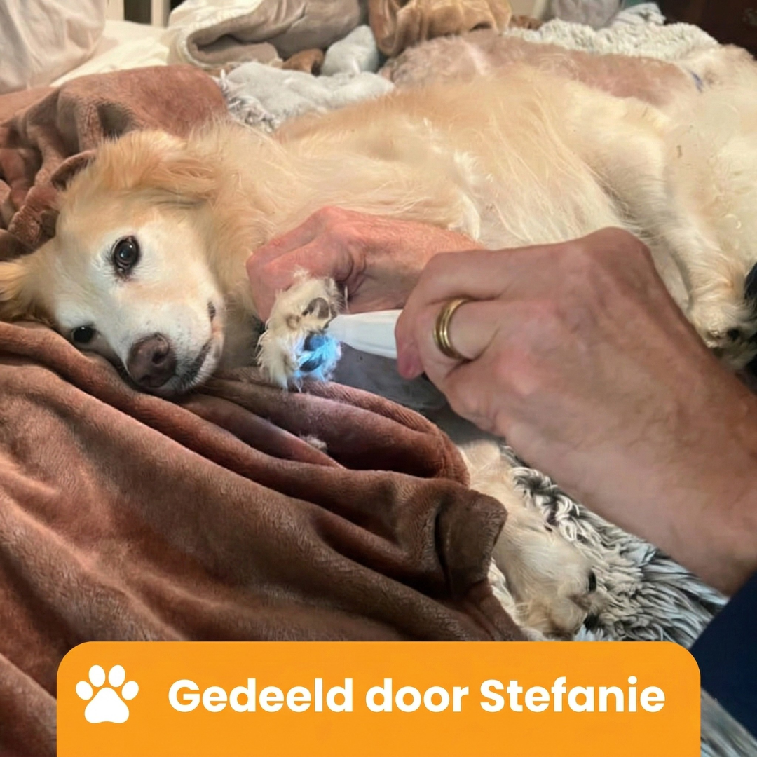 Trimmer voor hondenpootjes (Geluidsarm & Draadloos)