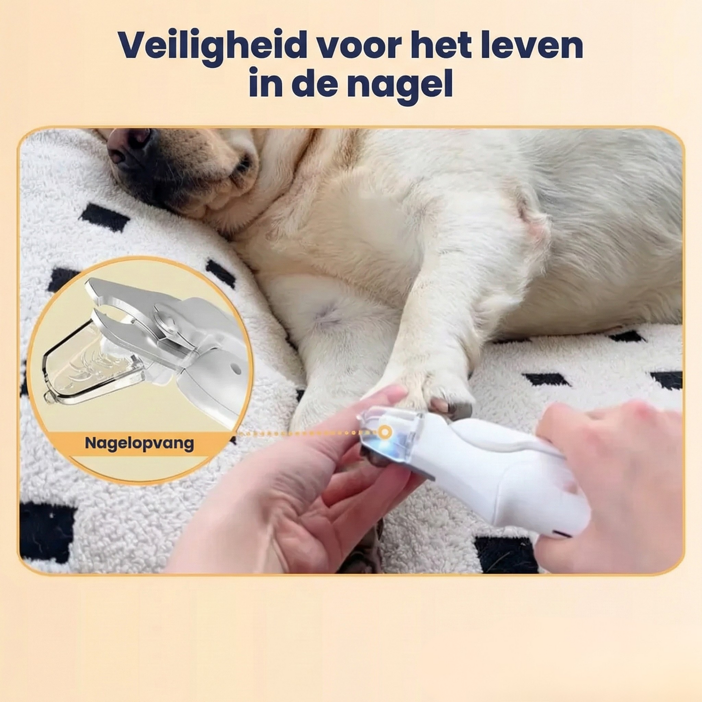 SamenCare™ Pro: 2-in-1 Nagelschaar & Vijl met LED