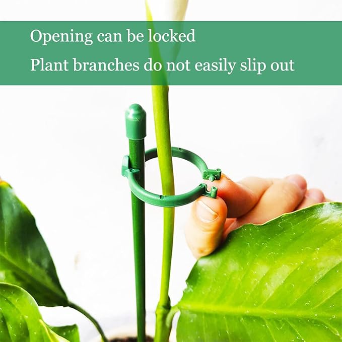 PlantSupport - Plant Groei Ondersteuning Invoegen Steun