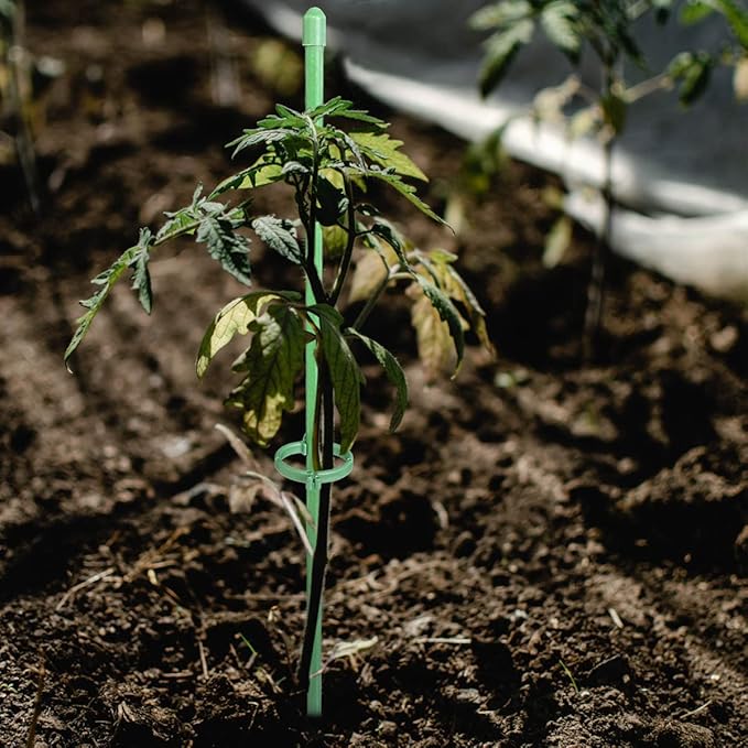PlantSupport - Plant Groei Ondersteuning Invoegen Steun