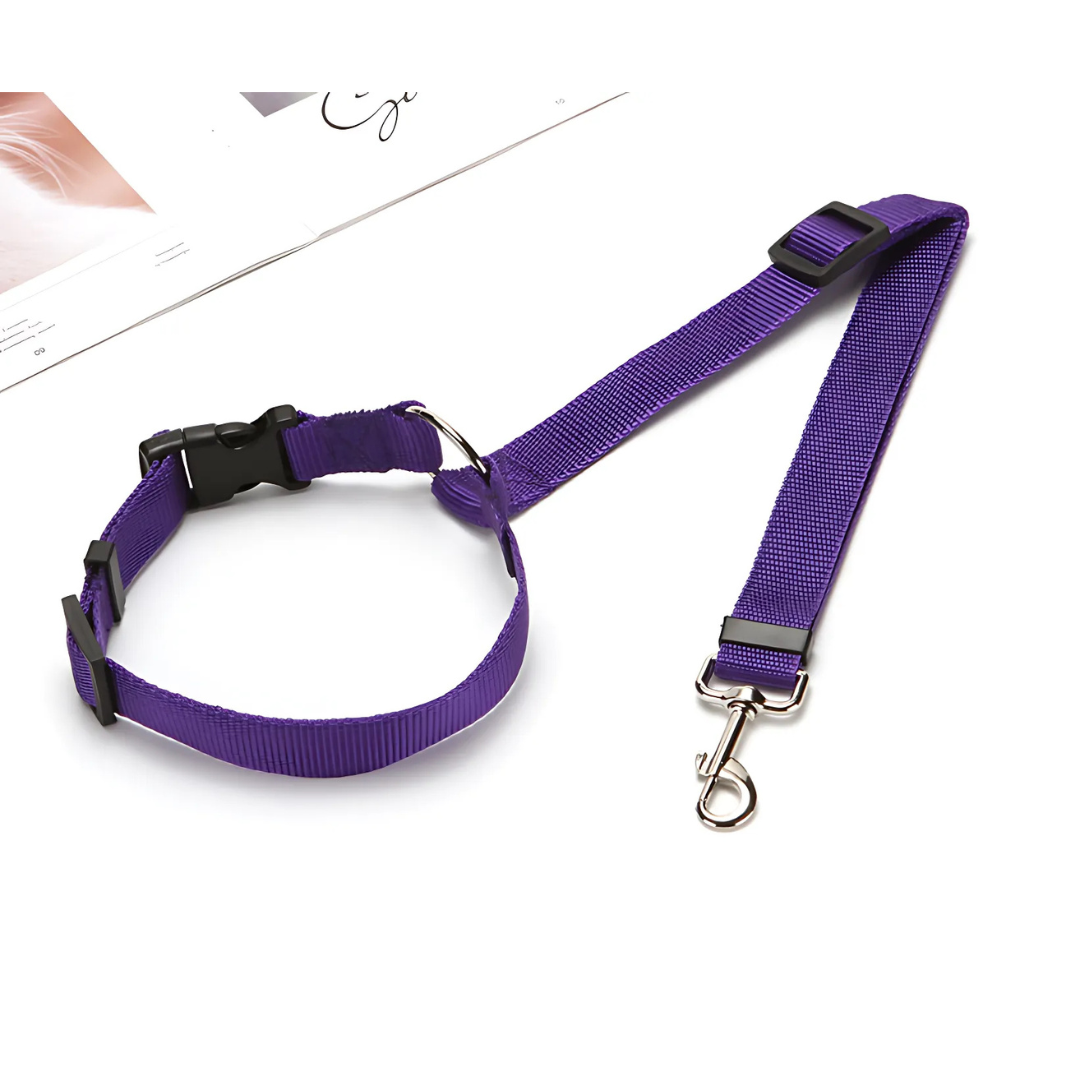 DogCatFri™ CarLeash 1+1 GRATIS: Verstelbaar Veiligheid Huisdier Autostoel Lijn
