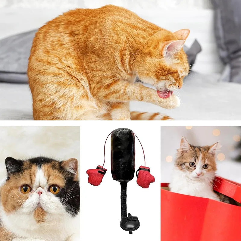 Catfri® PunchingBag: Interactief Leuk Oefening Kat Bokszak