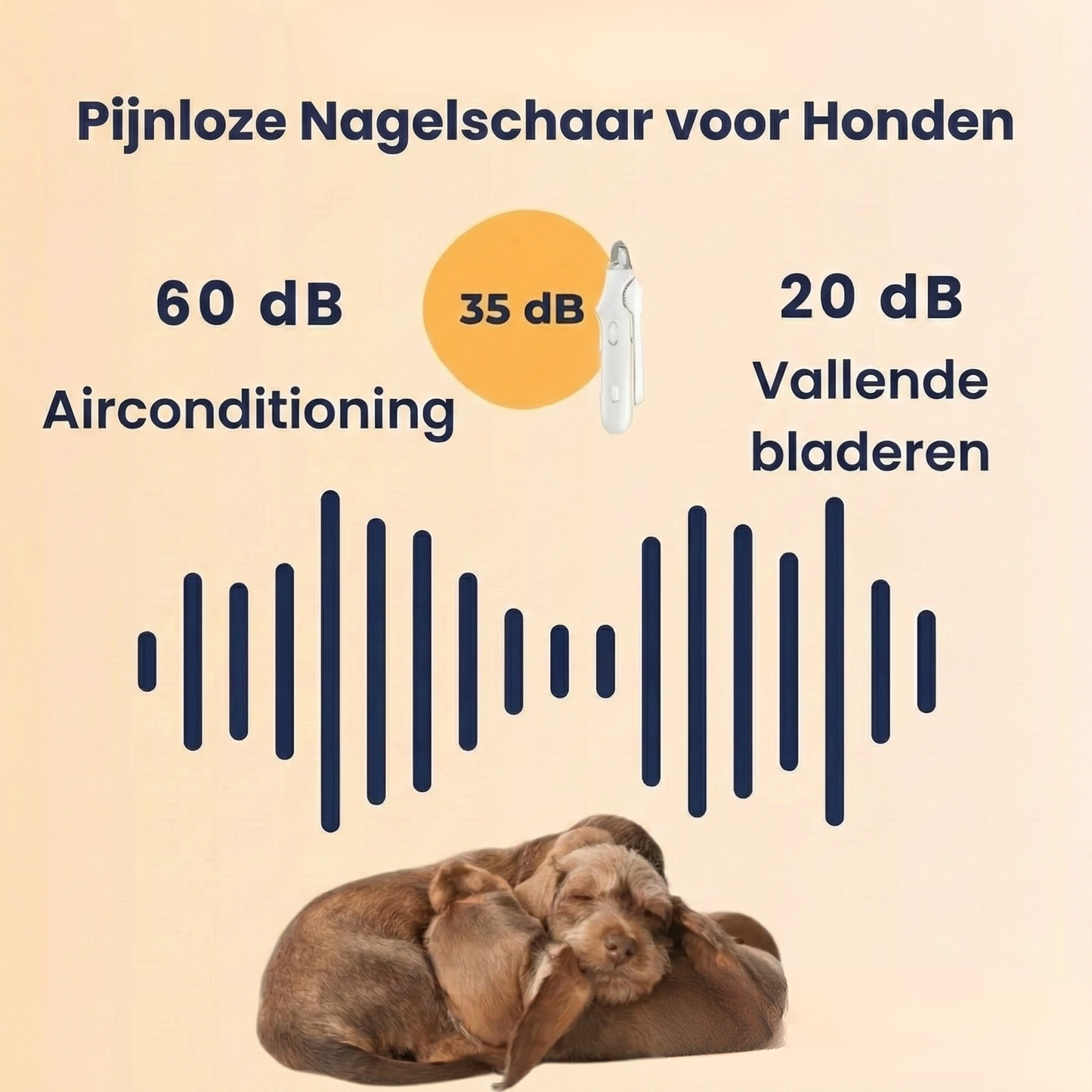 SamenCare™ Pro: 2-in-1 Nagelschaar & Vijl met LED